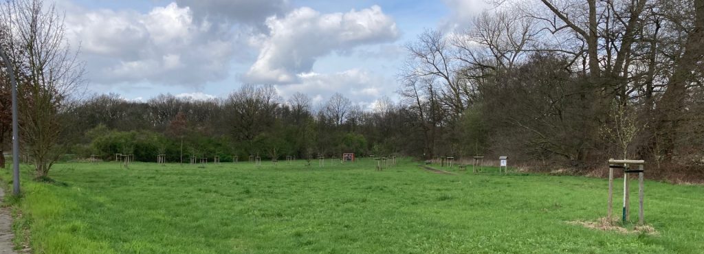 Bild auf die Streuobstwiese