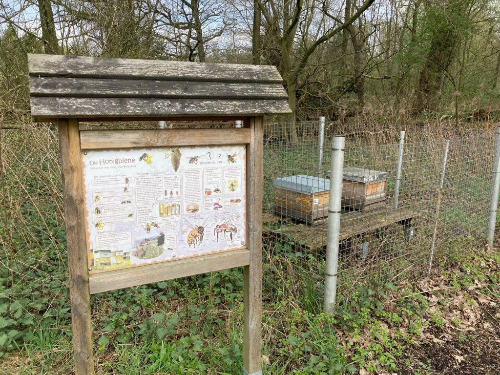 Honigstock und Info-Schild