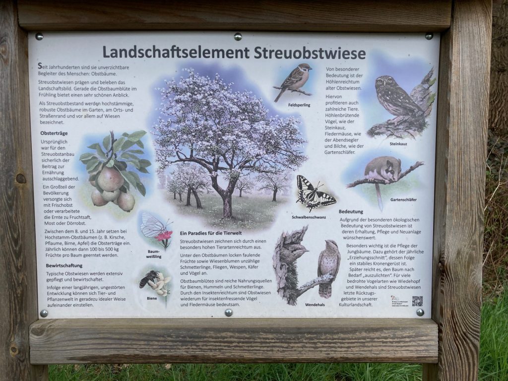 Infoschild Landschaftselement Streuobstwiese